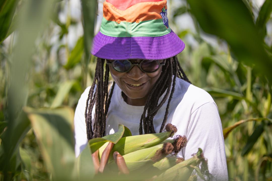 whatsapp image 2025 09 02 at 23.48.15 (1)