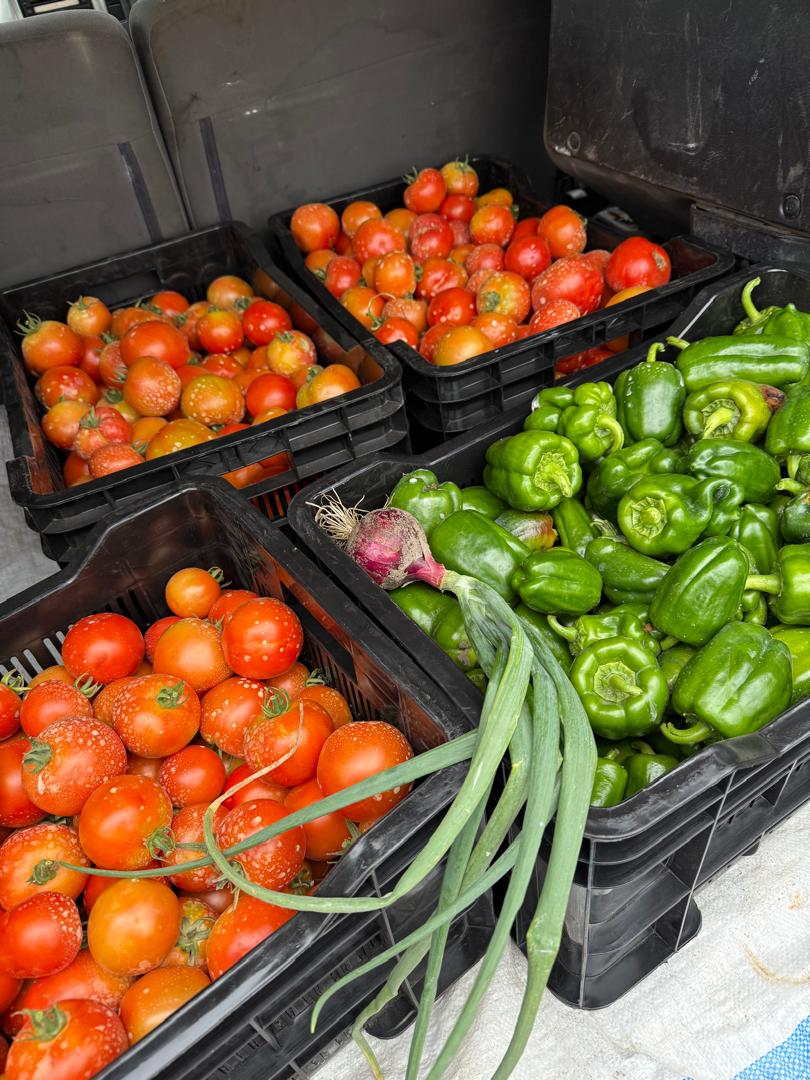 whatsapp image 2025 10 15 at 15.34.44