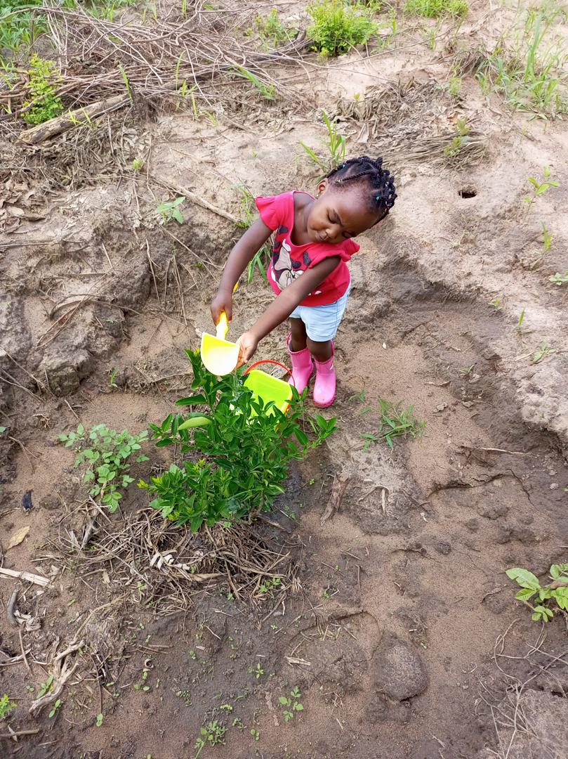 whatsapp image 2025 10 15 at 15.44.20