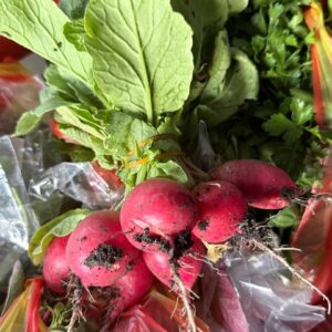 Radish — per bunch