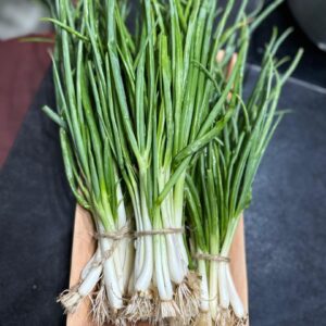 Spring Onion — per bunch